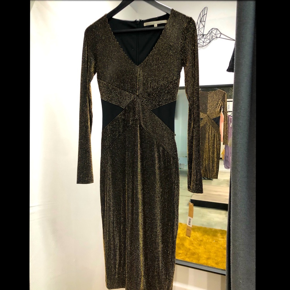 NWT Rachel Roy Dress